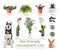 List of pet-friendly houseplants on background