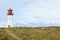 List-West Lighthouse, Sylt, sheep in the dunes