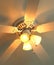 Lit Ceiling Light Fan Casts a Golden Aura