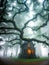 Lit Haunted House on foggy grounds with serpentine tree branches