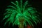 Lit Outdoor Christmas Palm Tree