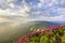 Lit by sun mountain slope with blooming pink flowers on foggy mountains with green grass and patches of snow background under brig