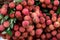 Litchi fruit for trade, sell, design