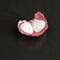 Litchi peel with heart shaped agate on black