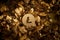 Litecoin Currency Symbol on Autumn Leaves