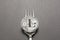 Litecoin Fork Concept Dark Gray Background