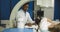 Lithotripsy for kidney and ureteral stones in modern center. Professional African man doctor, using ultrasound scan to