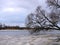 Lithuanian landscape in winter