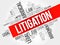 Litigation word cloud