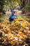 A litle boy playing with autumn leaves in the yard