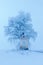 Litle old chapel and od tree with rime and snoow, foggy Christmas day near the road during winter