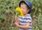 Litlle boy in blue hat smelling sunflower