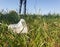 Litter in a green grass: plastic cup on the ground, selective focus, blurred legs on background