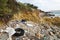 Litter and old tires on the sea shore