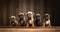 Litter Puppies in studio, portrait of cute puppy litter in a row on dark background, pets,dogs concept, adorable dog