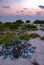 Litter on a tropical uninhabited island