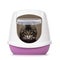 Litterbox with cat on white background