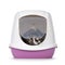 Litterbox with cat on white background