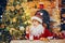 Littl child Santa eating cookies and drinking milk on Christmas tree. Little Santa picking cookie and glass of milk at