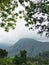 Little Adam peak, mountain in the fog view from the jungle