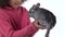 Little african curly girl is holding and carefully examines grey chinchilla at white background. Close up. Slow motion