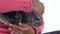 Little african girl is holding and stroking grey chinchilla at white background. Close up. Slow motion