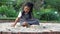 Little Asia girl sitting in the sandbox and playing whit toy shovel bucket and she was scooping in toy shovel bucket. Playing is a