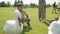 Little asian boy child feeding swans in the park in summer, grass, sunny leisure rest positive, curious