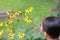 Little Asian child girl with magnifying glass on green grass garden. Close-up nature as researcher