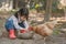 Little asian girl feeding hen happily and enjoy in the chicken farm.