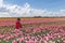 Little asian girl in the tulips farm