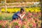 Little Asian girl use pink magnifying glass to search for interesting things in  flower shrubs and she look enjoy this activity