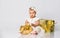 Little babe in dress and headband, barefoot. She posing with two golden gift boxes, sitting on floor  on white. Close up