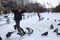 Little baby boy rides in the Park of birds pigeons in winter laughs fun emotions