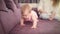 Little baby crawling on home sofa. Cute kid walking on all fours