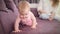 Little baby crawling on home sofa. Cute kid walking on all fours