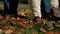Little baby feet stomp on autumn yellow and red leaves scattered across the grass.