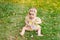 Little baby girl 7 months old sitting on the green grass in a yellow dress, walking in the fresh air