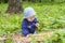 Little baby girl 9 months exploring rotten tree, walking in woods, girl kid digs in sawdust, soft focus child portrait