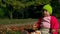 Little baby girl sits motionless on grass and looks at the falling leaves in park on bright and sunny early autumn day.