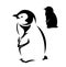 Little baby penguin black and white vector outline