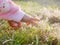 Little baby`s hand with the support from the mother`s, for the first time, reaching out to touch dew drops on grasses