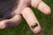Little baby treefrog sitting on a finger