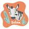 A little baby zebra looks out through a bush and sees surprisingly. Kid zebra in flat style. Text zebra in an orange