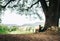 Little backpacker traveler rests under big tree on country road