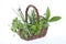 Little Basket of aromatic herbs