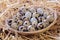 Little basket of Quail Eggs