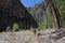 Little Bear Canyon Hike