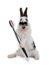 Little beautiful bunny holds a toothbrush with paste in its paws isolated on a white background