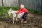 A little beautiful girl in a barnyard walks with a horse,